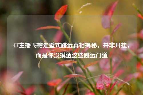CF主播飞檐走壁式跳远真相揭秘,并非开挂,而是你没摸透这些跳远门道