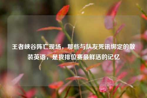 王者峡谷阵亡现场,那些与队友死讯绑定的散装英语,是我排位赛最鲜活的记忆
