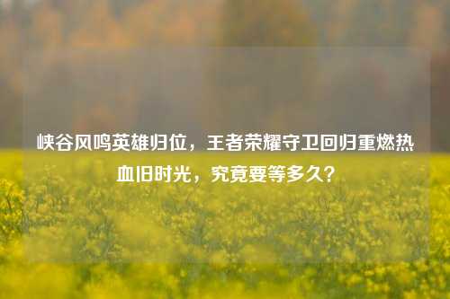 峡谷风鸣英雄归位,王者荣耀守卫回归重燃热血旧时光,究竟要等多久?