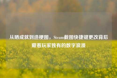 从晒成就到造梗图,Steam截图快捷键更改背后藏着玩家独有的数字浪漫