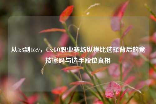 从4:3到16:9,CS:GO职业赛场纵横比选择背后的竞技密码与选手段位真相