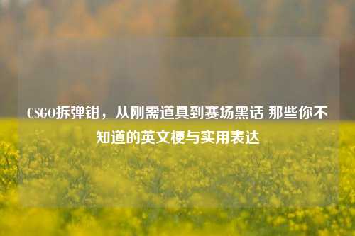 CSGO拆弹钳，从刚需道具到赛场黑话 那些你不知道的英文梗与实用表达