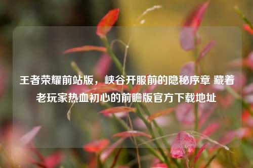 王者荣耀前站版,峡谷开服前的隐秘序章 藏着老玩家热血初心的前瞻版官方下载地址