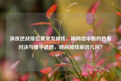 深夜逆战排位赛突发掉线，被网络中断的热血对决与难平遗憾，晚间掉线原因几何？