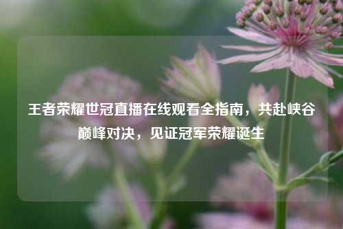 王者荣耀世冠直播在线观看全指南,共赴峡谷巅峰对决,见证冠军荣耀诞生