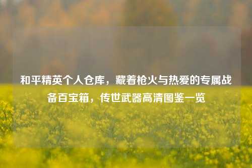 和平精英个人仓库,藏着枪火与热爱的专属战备百宝箱,传世武器高清图鉴一览