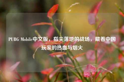 PUBG Mobile中文版,指尖落地的战场,藏着中国玩家的热血与烟火