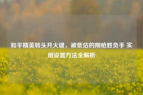 和平精英转头开火键,被低估的刚枪胜负手 实用设置方法全解析