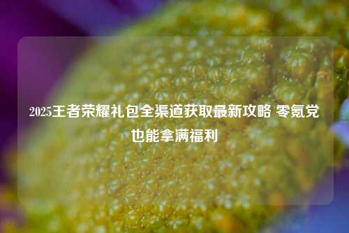 2025王者荣耀礼包全渠道获取最新攻略 零氪党也能拿满福利