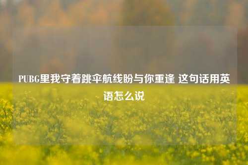 PUBG里我守着跳伞航线盼与你重逢 这句话用英语怎么说