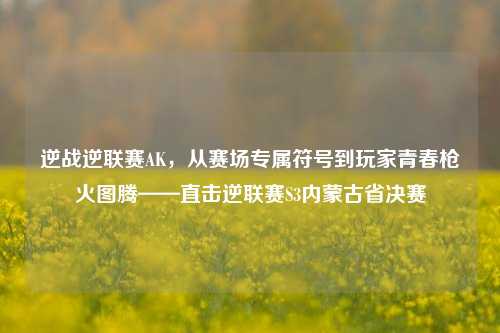逆战逆联赛AK，从赛场专属符号到玩家青春枪火图腾——直击逆联赛S3内蒙古省决赛