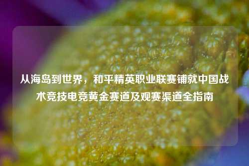 从海岛到世界，和平精英职业联赛铺就中国战术竞技电竞黄金赛道及观赛渠道全指南