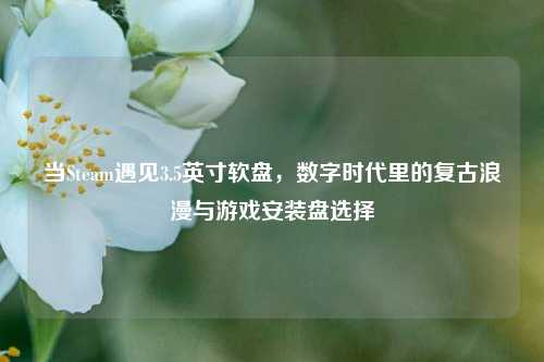 当Steam遇见3.5英寸软盘,数字时代里的复古浪漫与游戏安装盘选择