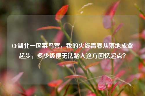 CF湖北一区菜鸟营，我的火线青春从落地成盒起步，多少级便无法踏入这方回忆起点？