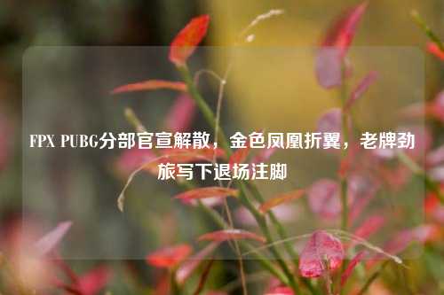 FPX PUBG分部官宣解散，金色凤凰折翼，老牌劲旅写下退场注脚