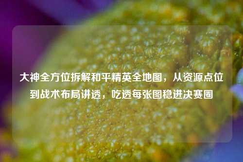 大神全方位拆解和平精英全地图，从资源点位到战术布局讲透，吃透每张图稳进决赛圈