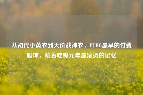 从初代小黄衣到天价战神衣,PUBG最早的付费服饰,藏着吃鸡元年最滚烫的记忆
