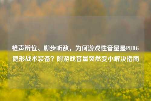 枪声辨位、脚步听敌，为何游戏性音量是PUBG隐形战术装备？附游戏音量突然变小解决指南