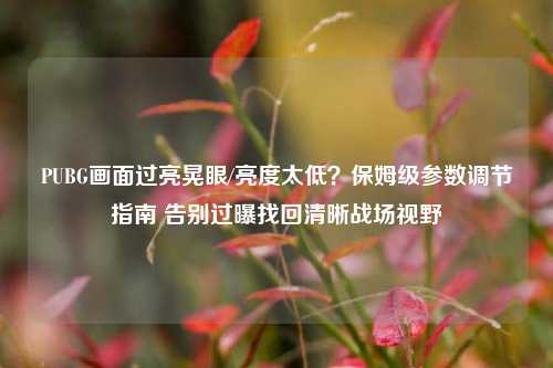 PUBG画面过亮晃眼/亮度太低?保姆级参数调节指南 告别过曝找回清晰战场视野