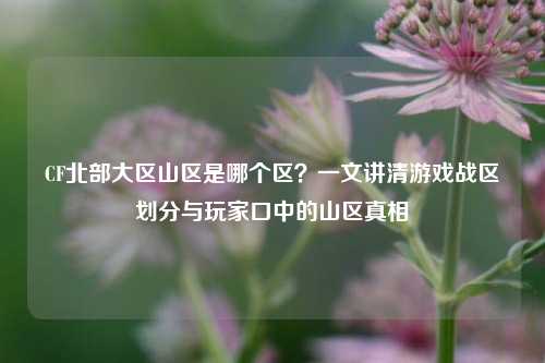 CF北部大区山区是哪个区?一文讲清游戏战区划分与玩家口中的山区真相