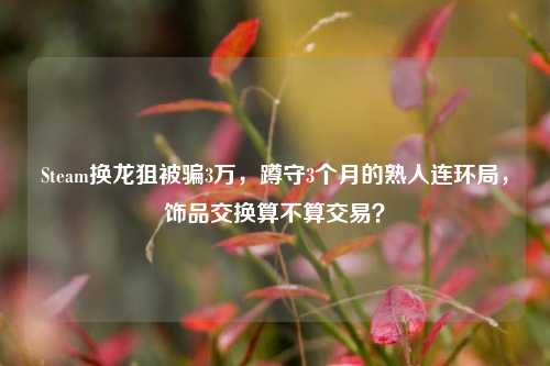 Steam换龙狙被骗3万，蹲守3个月的熟人连环局，饰品交换算不算交易？