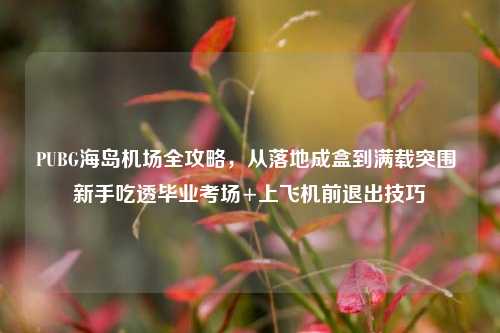 PUBG海岛机场全攻略,从落地成盒到满载突围 新手吃透毕业考场+上飞机前退出技巧