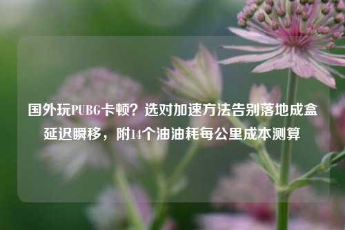 国外玩PUBG卡顿？选对加速方法告别落地成盒延迟瞬移，附14个油油耗每公里成本测算