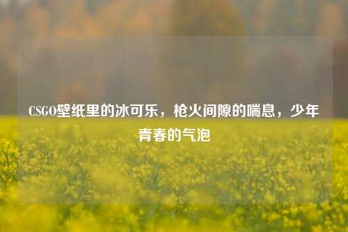CSGO壁纸里的冰可乐，枪火间隙的喘息，少年青春的气泡
