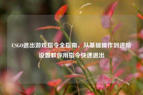 CSGO退出游戏指令全指南,从基础操作到进阶设置教你用指令快速退出