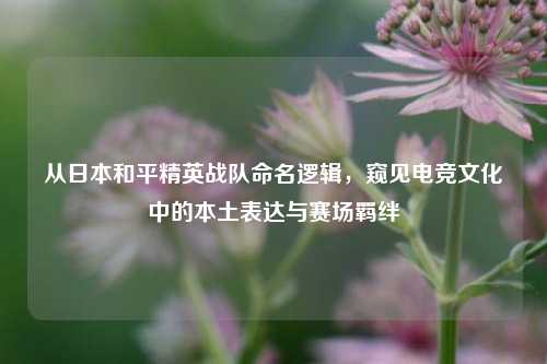 从日本和平精英战队命名逻辑,窥见电竞文化中的本土表达与赛场羁绊