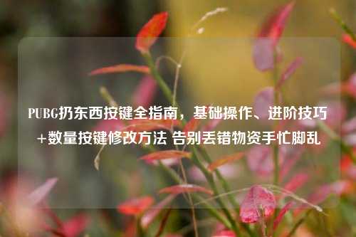 PUBG扔东西按键全指南,基础操作、进阶技巧+数量按键修改方法 告别丢错物资手忙脚乱