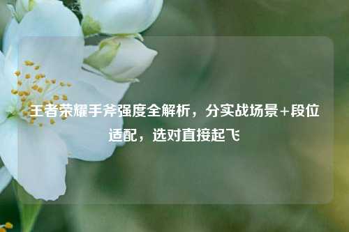 王者荣耀手斧强度全解析，分实战场景+段位适配，选对直接起飞