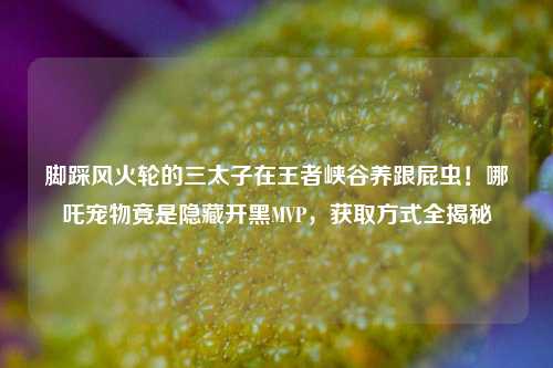 脚踩风火轮的三太子在王者峡谷养跟屁虫!哪吒宠物竟是隐藏开黑MVP,获取方式全揭秘