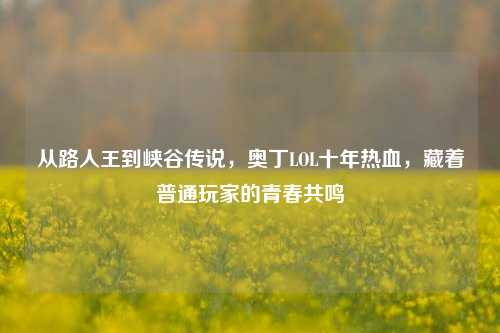 从路人王到峡谷传说，奥丁LOL十年热血，藏着普通玩家的青春共鸣