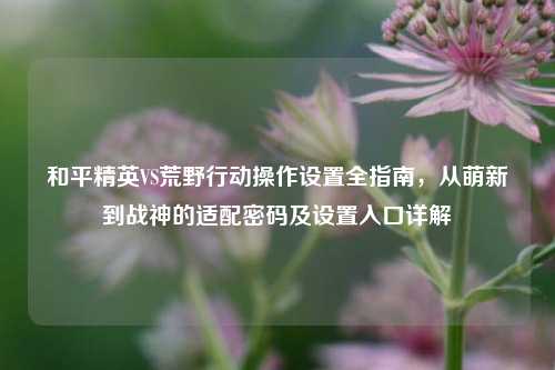 和平精英VS荒野行动操作设置全指南,从萌新到战神的适配密码及设置入口详解