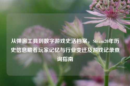 从弹窗工具到数字游戏史活档案，Steam20年历史信息藏着玩家记忆与行业变迁及游戏记录查询指南