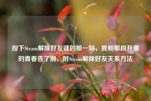 按下Steam解除好友键的那一刻,我和那段开黑的青春告了别,附Steam解除好友关系方法