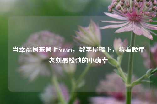 当幸福房东遇上Steam，数字屋檐下，藏着晚年老刘最松弛的小确幸