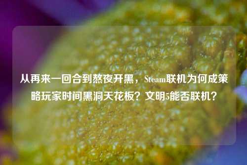 从再来一回合到熬夜开黑，Steam联机为何成策略玩家时间黑洞天花板？文明5能否联机？