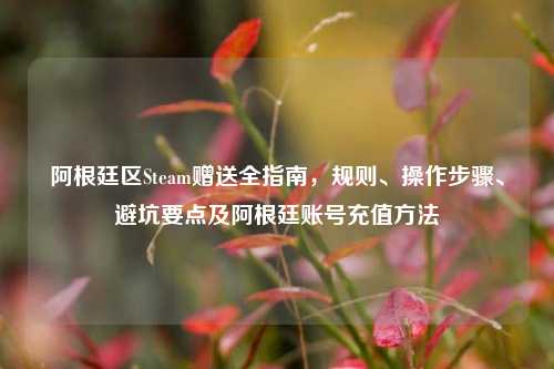 阿根廷区Steam赠送全指南,规则、操作步骤、避坑要点及阿根廷账号充值方法