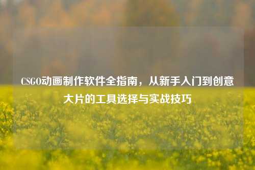 CSGO动画制作软件全指南,从新手入门到创意大片的工具选择与实战技巧
