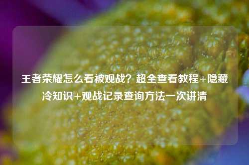 王者荣耀怎么看被观战？超全查看教程+隐藏冷知识+观战记录查询方法一次讲清