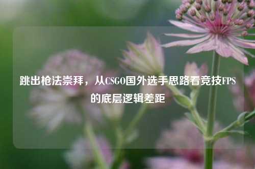 跳出枪法崇拜,从CSGO国外选手思路看竞技FPS的底层逻辑差距