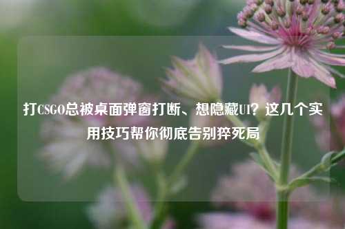 打CSGO总被桌面弹窗打断、想隐藏UI?这几个实用技巧帮你彻底告别猝死局