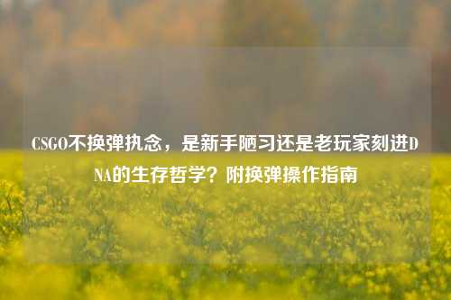 CSGO不换弹执念，是新手陋习还是老玩家刻进DNA的生存哲学？附换弹操作指南