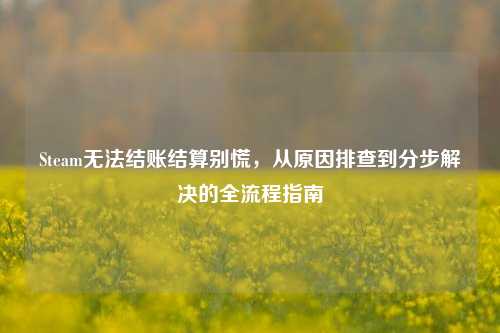 Steam无法结账结算别慌,从原因排查到分步解决的全流程指南
