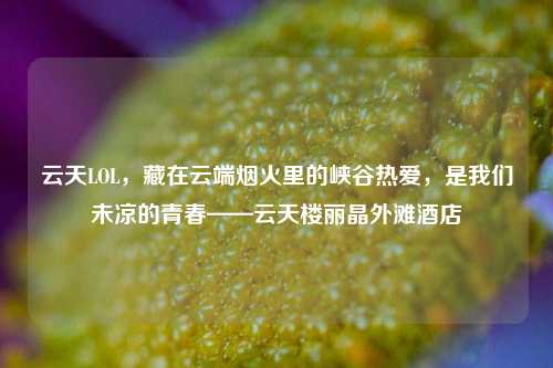 云天LOL，藏在云端烟火里的峡谷热爱，是我们未凉的青春——云天楼丽晶外滩酒店