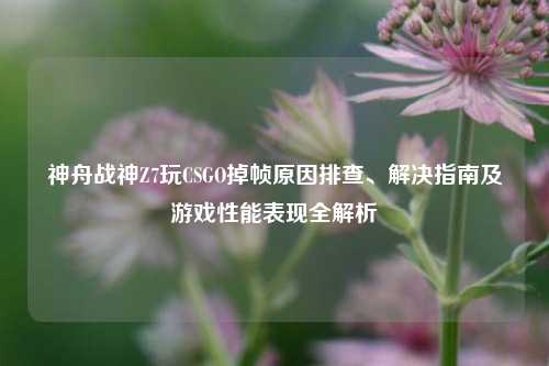 神舟战神Z7玩CSGO掉帧原因排查、解决指南及游戏性能表现全解析