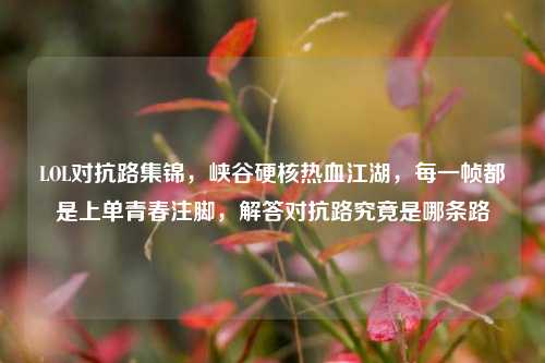 LOL对抗路集锦,峡谷硬核热血江湖,每一帧都是上单青春注脚,解答对抗路究竟是哪条路