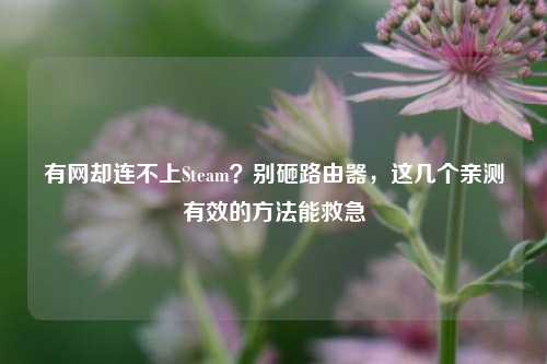 有网却连不上Steam?别砸路由器,这几个亲测有效的方法能救急
